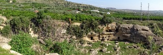 otta del Drago23-09-2017 10-03-12